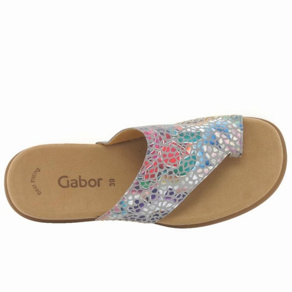 Mulas Gabor Lanzarote Printed Puntera Loop Mujer Gris Flores | ES0002965