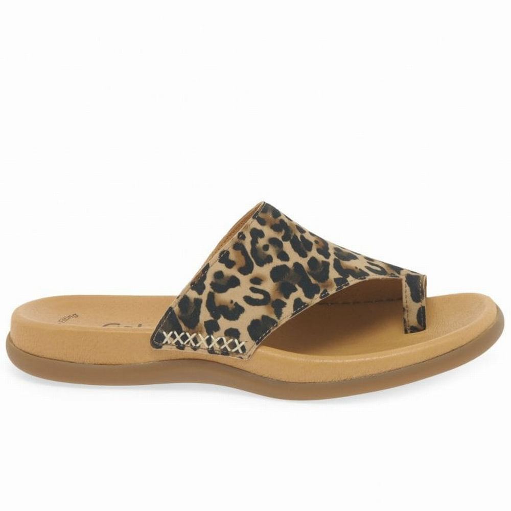 Mulas Gabor Lanzarote Printed Puntera Loop Mujer Beige Leopardo | ES0002967