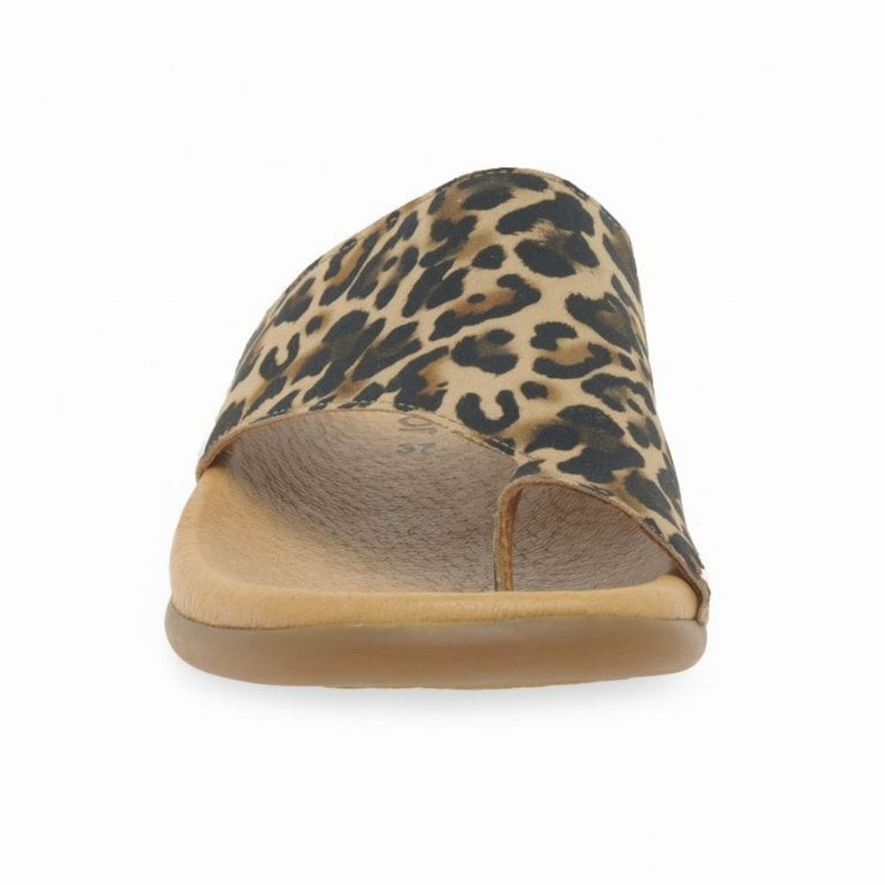 Mulas Gabor Lanzarote Printed Puntera Loop Mujer Beige Leopardo | ES0002967