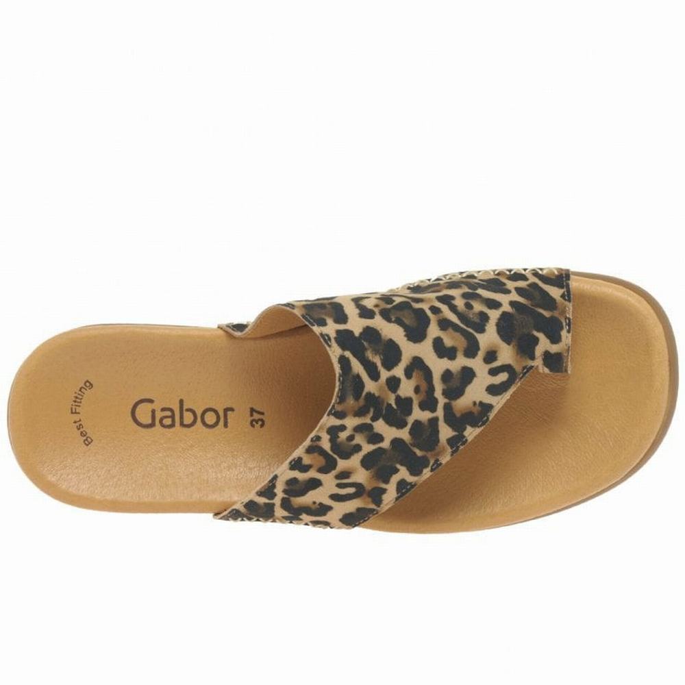 Mulas Gabor Lanzarote Printed Puntera Loop Mujer Beige Leopardo | ES0002967