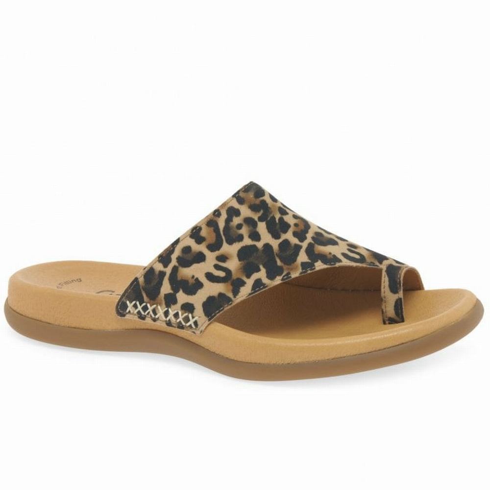 Mulas Gabor Lanzarote Printed Puntera Loop Mujer Beige Leopardo | ES0002967