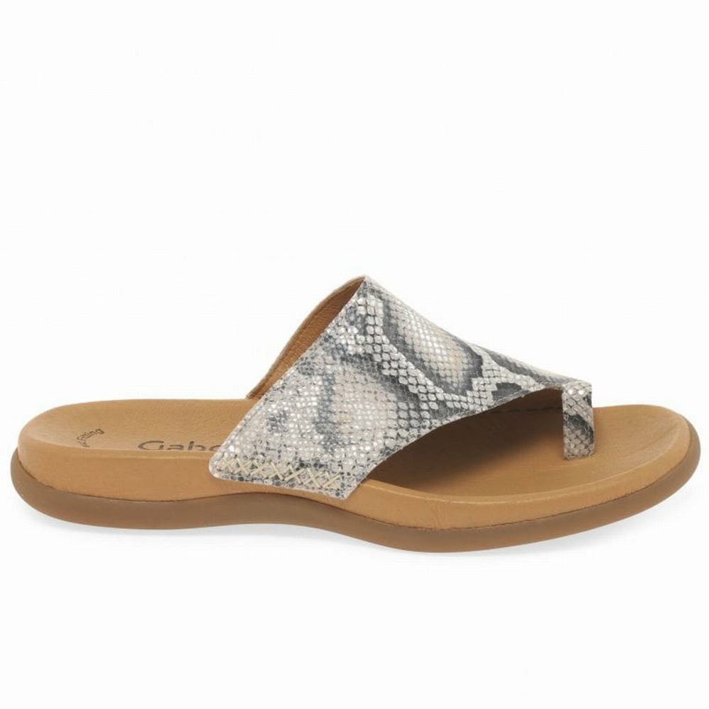 Mulas Gabor Lanzarote Printed Puntera Loop Mujer Beige Serpent | ES0002968