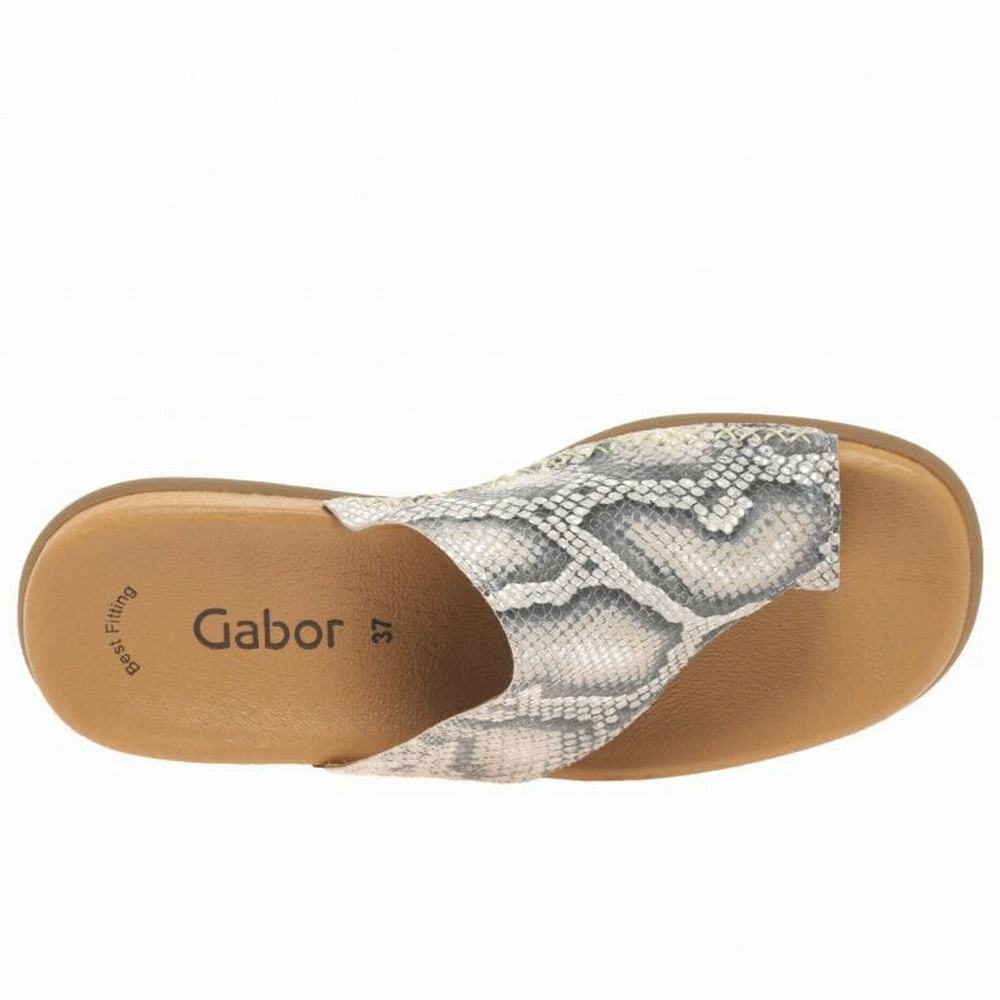 Mulas Gabor Lanzarote Printed Puntera Loop Mujer Beige Serpent | ES0002968