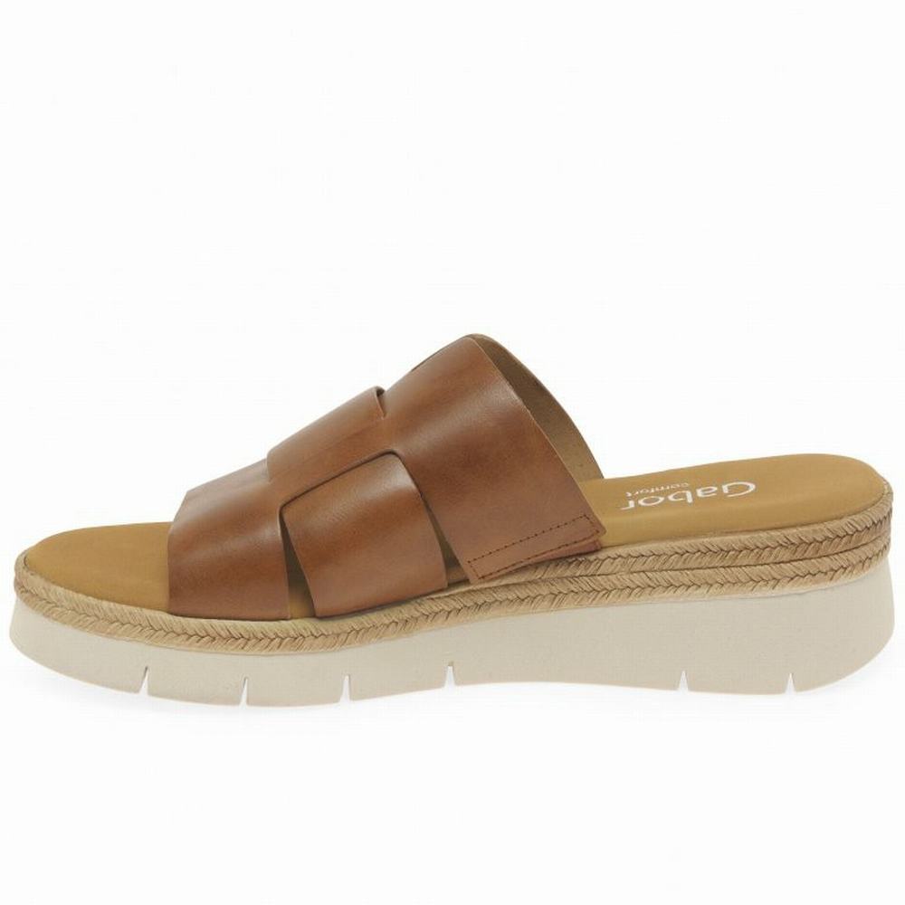 Sandalias Cuña Gabor League Mule Sandals Mujer Marrones | ES0002195